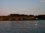 DSCN4421