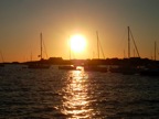DSCN4466