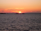 DSCN4501