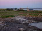 DSCN4502