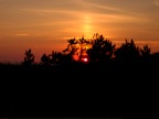 DSCN4871