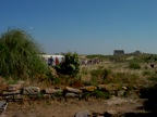 DSCN4874