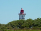 DSCN4931