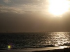 DSCN5002