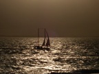 DSCN5005