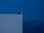 DSCN5026
