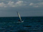 DSCN5108