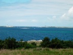 DSCN5141