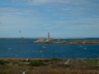 DSCN5142