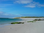 DSCN0274.JPG