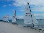 DSCN0276.JPG