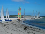 DSCN0282.JPG