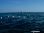 DSCN0306.JPG
