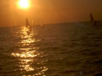 DSCN0365.JPG