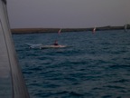 DSCN0378.JPG