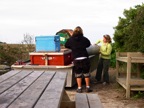 DSCN0717.JPG