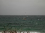 DSCN0774.JPG