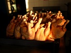 DSCN0872.JPG