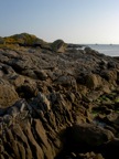 DSCN0891.JPG