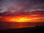 DSCN0930.JPG