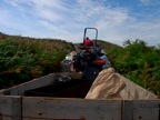 DSCN0991.JPG