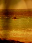 DSCN0182.JPG