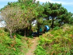DSCN0198.JPG