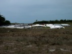 DSCN0267.JPG