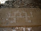 DSCN0313.JPG