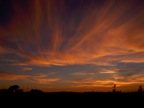 DSCN4738.JPG