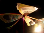 DSCN5213.JPG